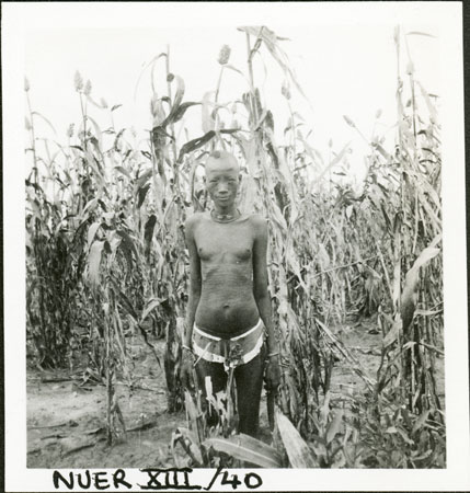 Nuer woman in millet garden