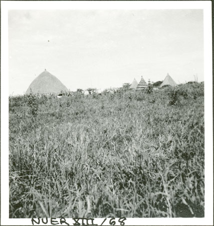 Nuer homestead