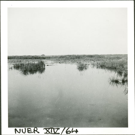 Nuer swamp