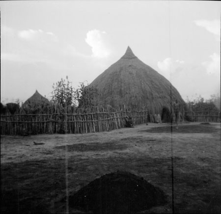 Nuer homestead near Ler