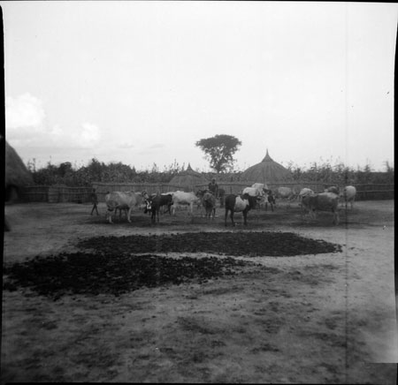 Nuer homestead near Ler