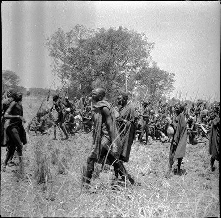 Mandari group at warplay