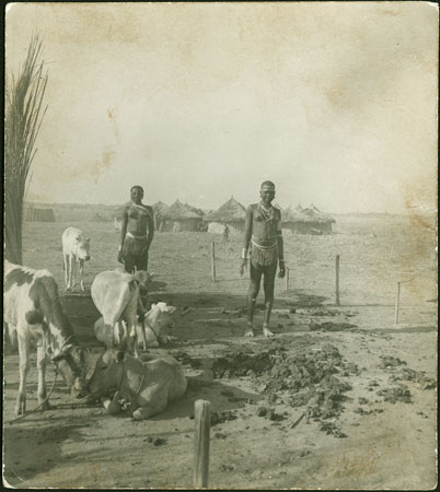 Mandari cattle camp