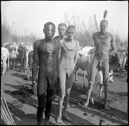 Mandari youths in cattle camp