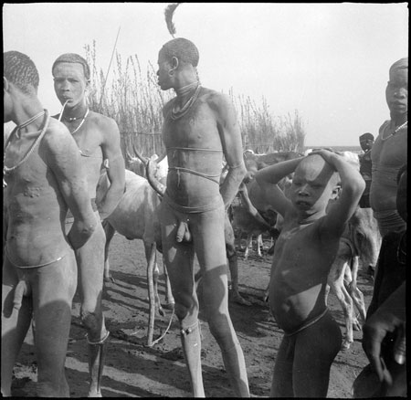 Mandari youths in cattle camp