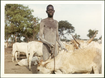 Mandari youth at cattle camp