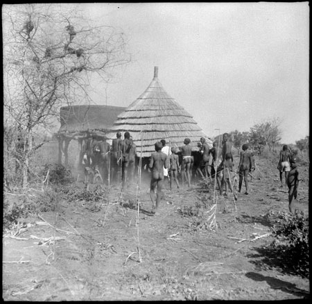 Mandari men lifting a roof onto a hut