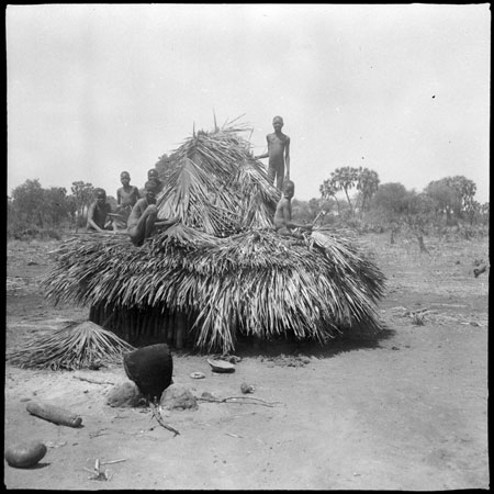 Mandari youths thatching hut