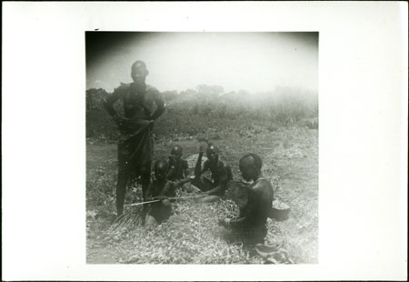Mandari women preparing groundnuts