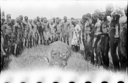 Nuer porters with hippo