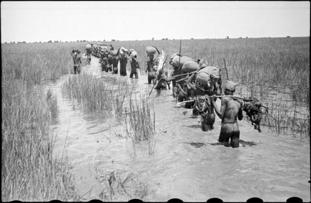 Nuer porters on march