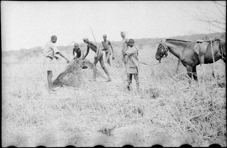 Nuer porters on march