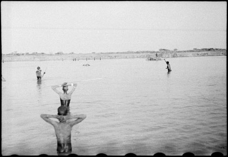 Nuer men hunting hippo