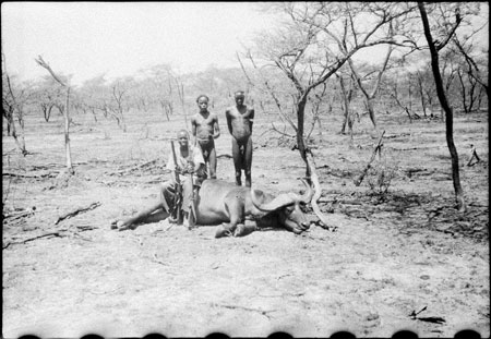 Idris Daud with buffalo