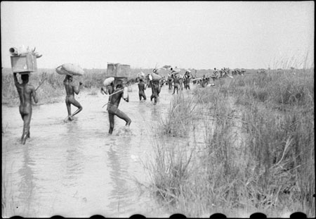 Nuer porters in stream