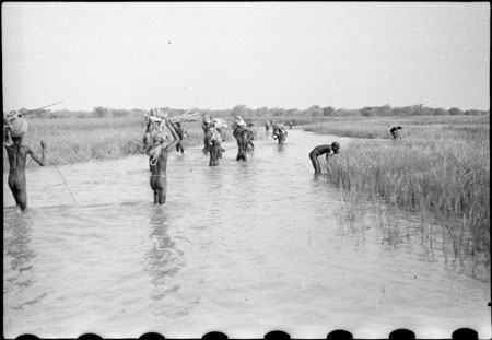 Nuer porters in stream