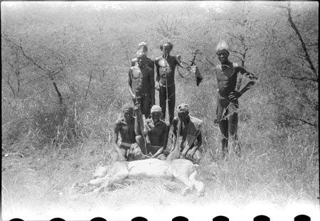 Nuer porters with lion