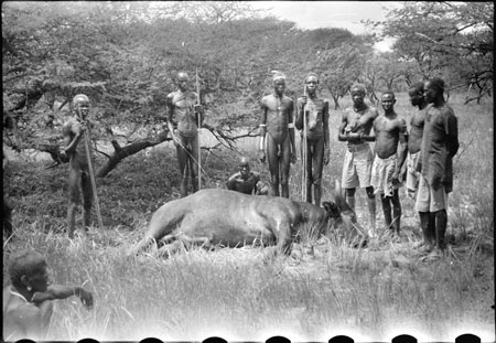 Buffalo hunt in Nuerland