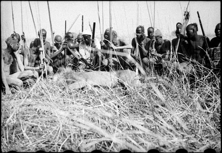 Lion shot in Nuerland