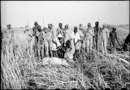 Lion shot in Nuerland