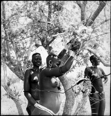 Dinka women under tree