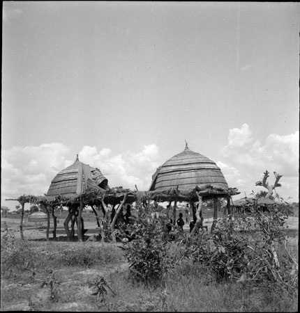 Agar Dinka shelters