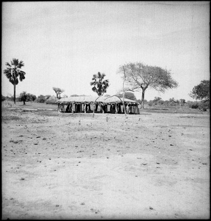 Rek Dinka cattle camp