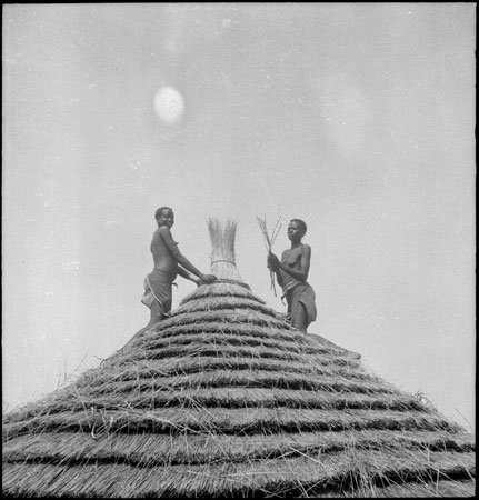 Dinka women thatching hut
