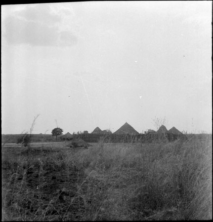 View of a homestead