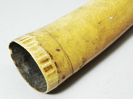 Ivory trumpet