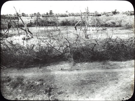 Dinka dry-season camp