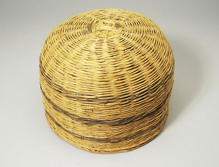 Dinka Tuich basket