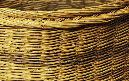 Dinka Tuich basket