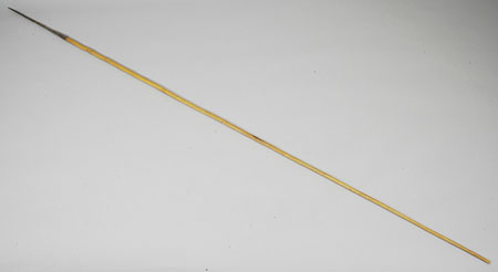 Dinka Tuich fishing spear