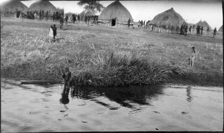 Nuer cattle camp