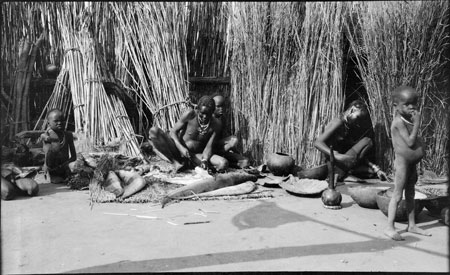 Nuer homestead life