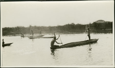 Nuer harpoon fishing