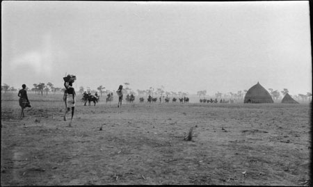 Patrol in Nuerland