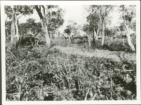 Resettlement village Zandeland