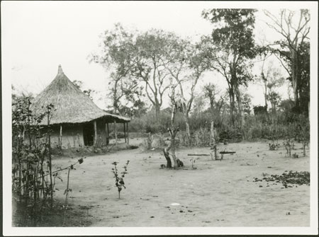 Zande spirit-shrine in homestead