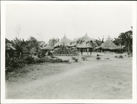 Zande homestead in Government settlement