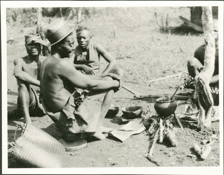 Preparation of Zande Bingiya medicine