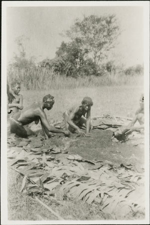 Zande beer preparation 