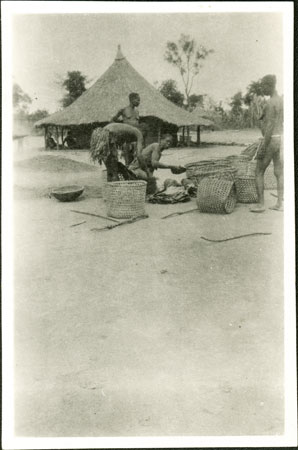 Zande beer preparation 