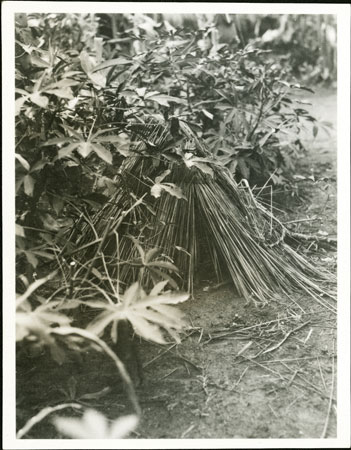 Zande medicine shelter