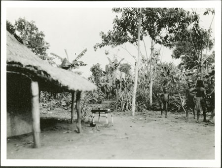 Zande circumcision ritual