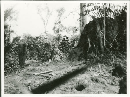 Zande termite gathering