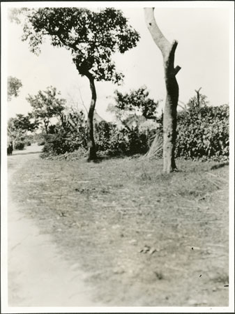 Resettlement village Zandeland