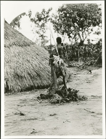 Zande spirit-shrine outside hut