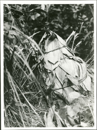 Zande termite gathering